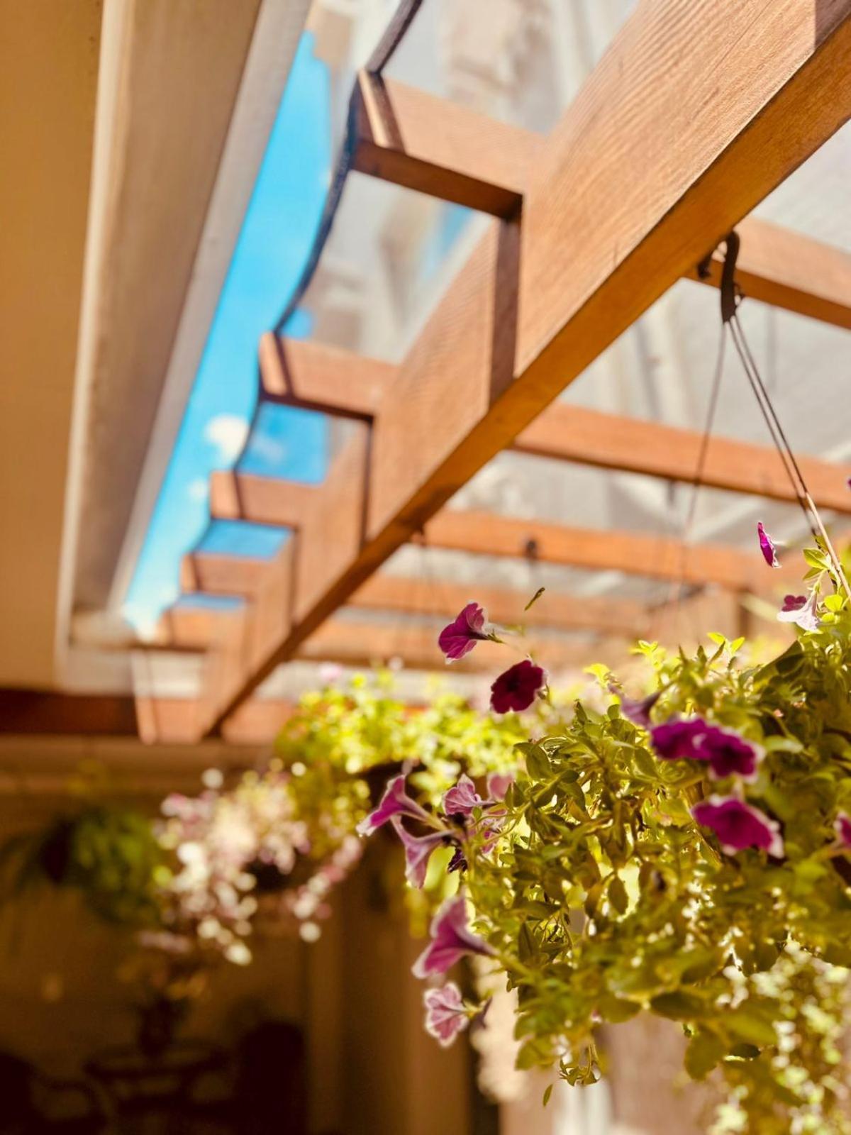 Skalla Hotel Nova Odessa Kültér fotó